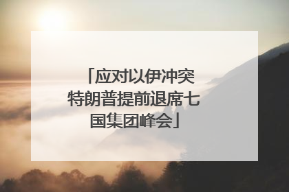 应对以伊冲突 特朗普提前退席七国集团峰会